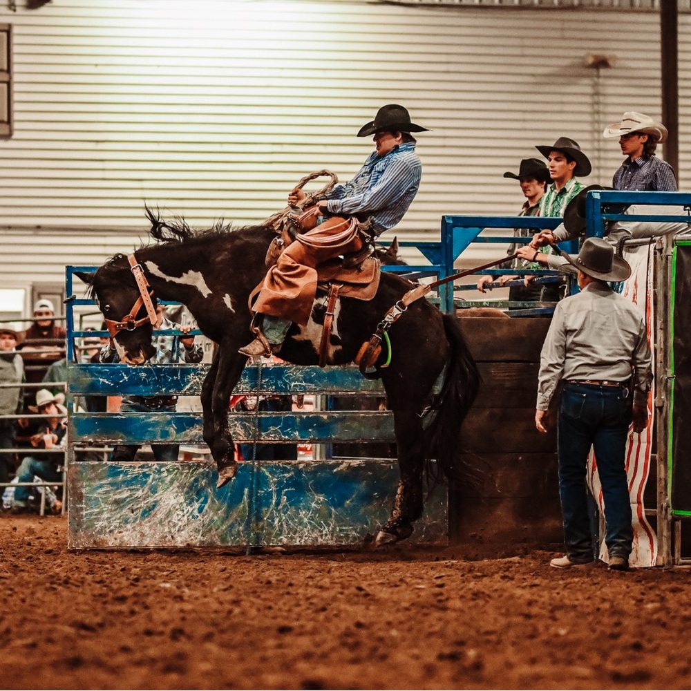 Meet your Posher, Jack